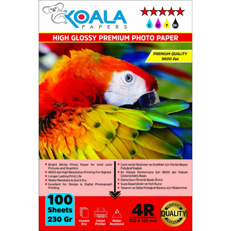 Epson L5160 Evertday Premium Parlak 10x15cm Fotoğraf kağıdı 230 gr. 100 Adet