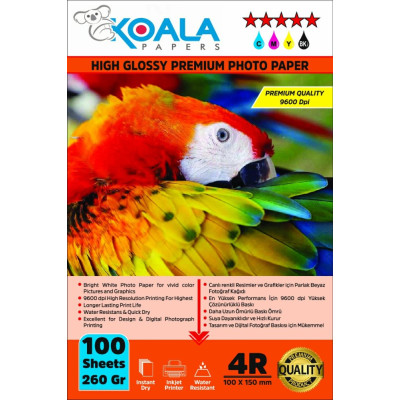 Epson 112 L15150 Evertday Premium Parlak 10x15cm Fotoğraf kağıdı 260 gr. 100 Adet