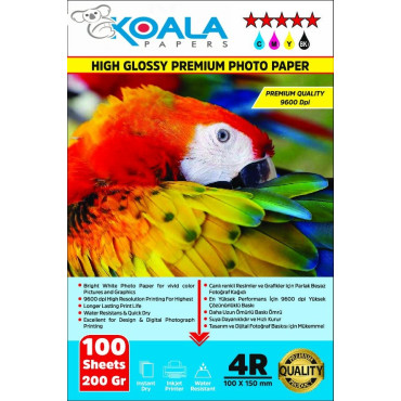 Epson 112 L15104 Evertday Premium Parlak 10x15cm Fotoğraf kağıdı 200 gr. 100 Adet