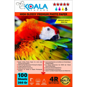Epson 103 L3560 Evertday Premium Parlak 10x15cm Fotoğraf kağıdı 260 gr. 100 Adet